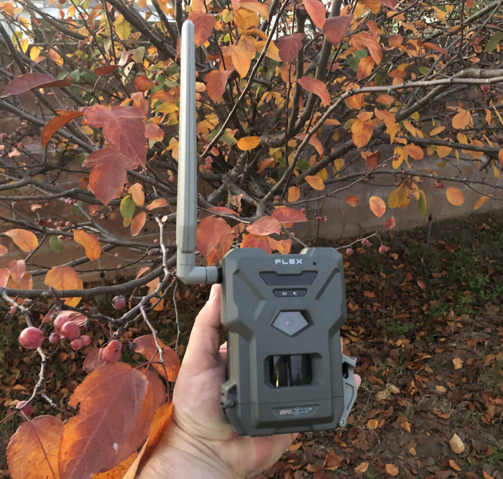 SPYPOINT FLEX Cellular Camera – Field Test Results and Full Gear Review